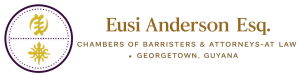 andersonesq-logo-side